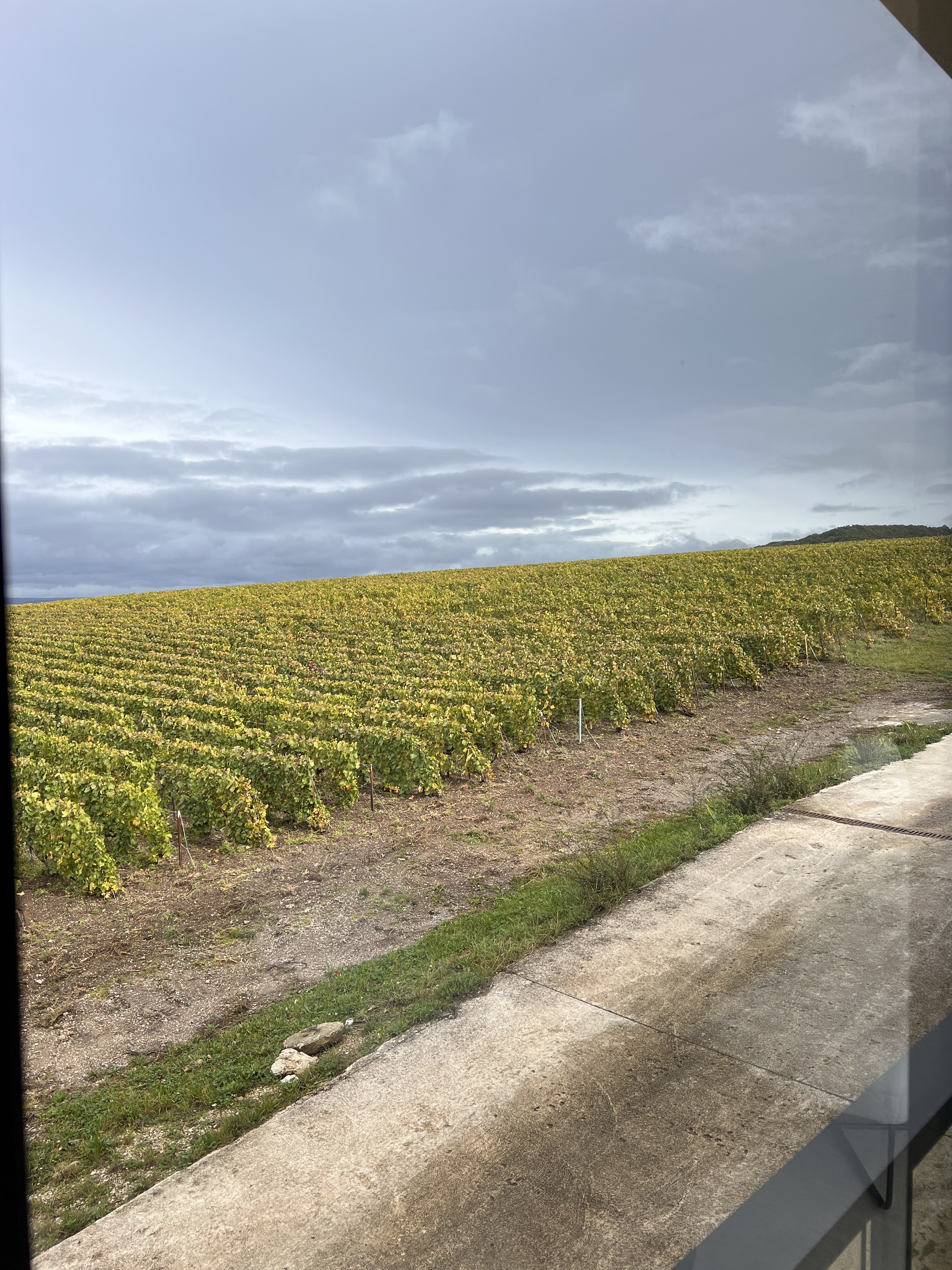 Photo n° 3 de l'avis de David.a fait le 20/10/2023 à 13:08