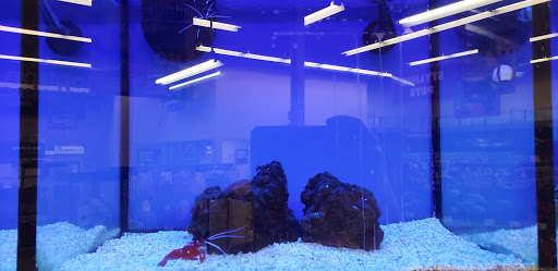 Pet Supply Store «Petco Animal Supplies», reviews and photos, 3055 N President George Bush Hwy, Garland, TX 75040, USA