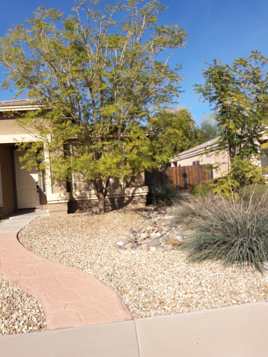 Park «La Paloma Park», reviews and photos, 6579 S Amanda Blvd, Chandler, AZ 85249, USA