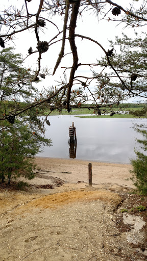 Nature Preserve «Maurice River Bluffs Preserve», reviews and photos, Silver Run Rd, Millville, NJ 08332, USA