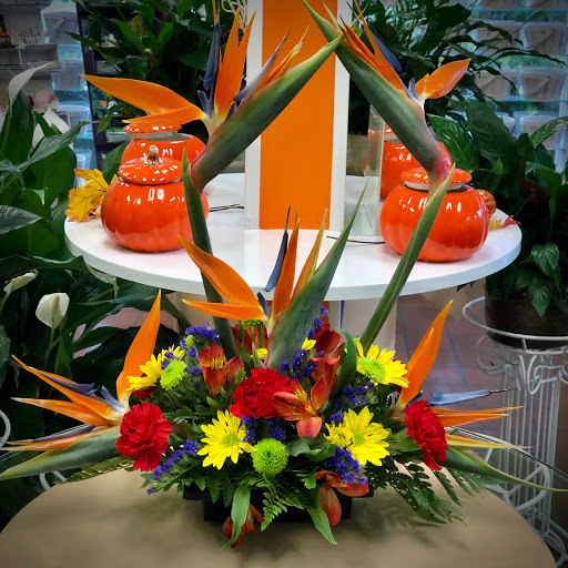 Florist «Seminole Florist», reviews and photos, 8613 Seminole Blvd, Seminole, FL 33772, USA