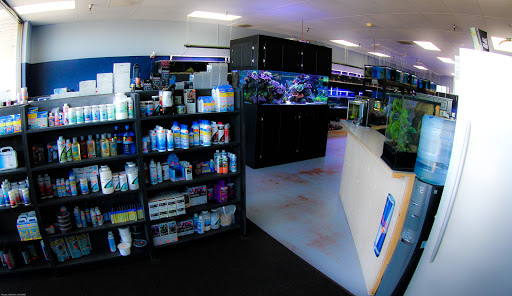 The Premium Aquarium