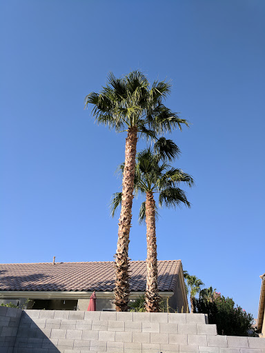 Park «Centennial Hills Park», reviews and photos, 7101 N Buffalo Dr, Las Vegas, NV 89131, USA