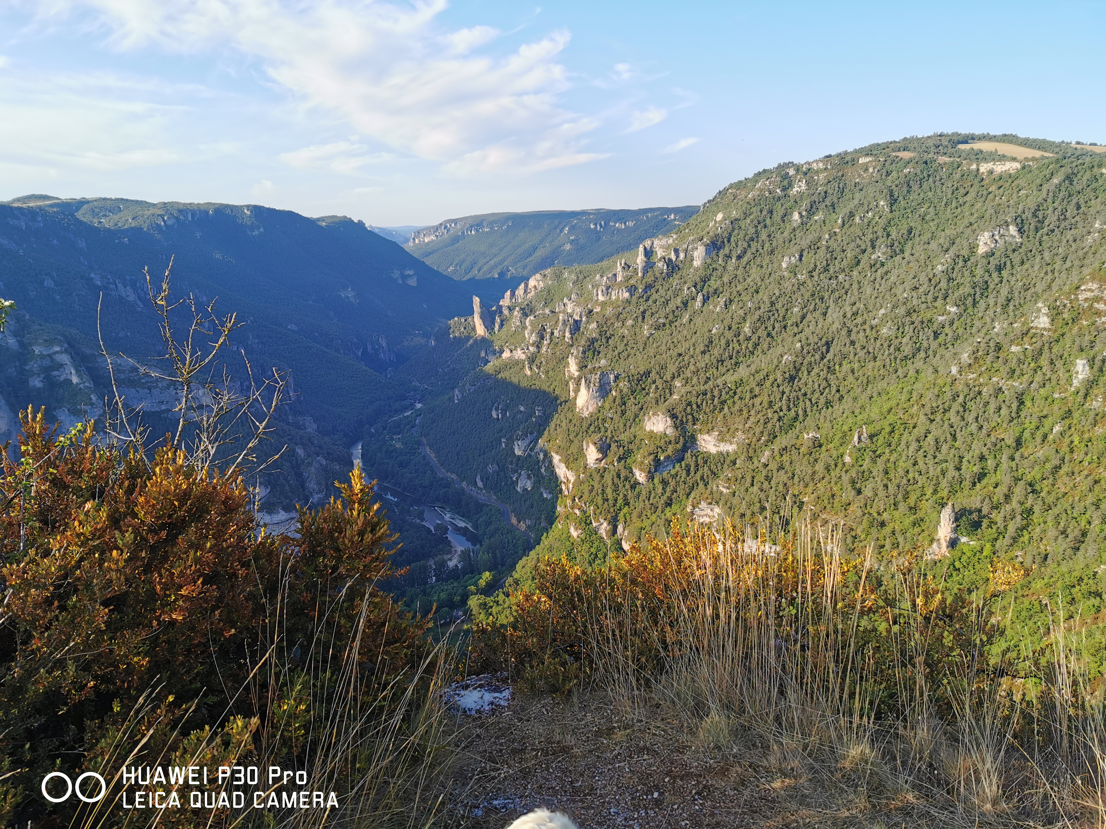 Photo n° 2 de l'avis de Hugues.e fait le 23/08/2019 à 11:39