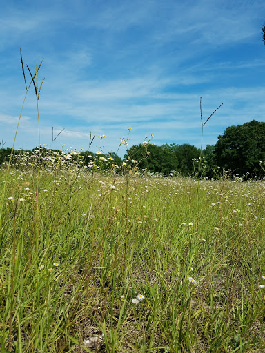 National Park «Charles Pinckney National Historic Site», reviews and photos, 1254 Long Point Rd, Mt Pleasant, SC 29464, USA