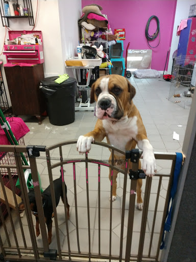 Shopping Mall «Marconi & Walnut Shopping Center», reviews and photos, 4949 Marconi Ave, Carmichael, CA 95608, USA