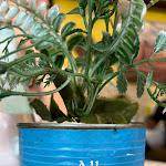 Photo n°7 de l'avis de MC.R fait le 01/10/2023 à 06:10 sur le  Ristorante da Berto - Alloggio à Rimini