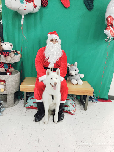 Pet Supply Store «Petco Animal Supplies», reviews and photos, 8580 Firestone Blvd, Downey, CA 90241, USA