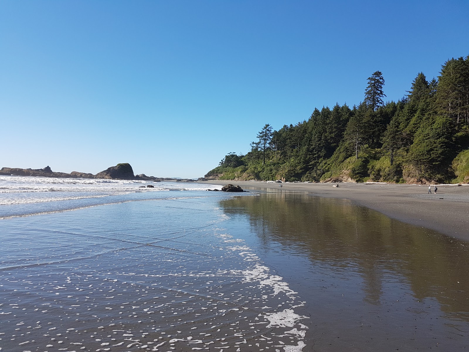 Kalaloch Beach II'in fotoğrafı - rahatlamayı sevenler arasında popüler bir yer