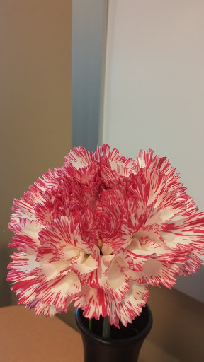 Fast Food Restaurant «Chick-fil-A», reviews and photos, 12101 Seal Beach Blvd, Seal Beach, CA 90740, USA