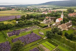 Lavender Farm image
