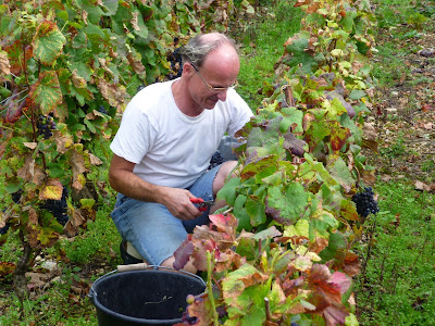 Domaine François Bertheau à Chambolle-Musigny