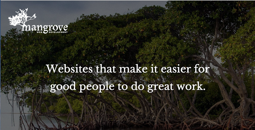 Mangrove Web Development