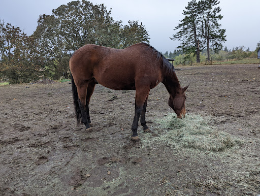 28255 SE Eagle Creek Rd, Estacada, OR 97023, USA