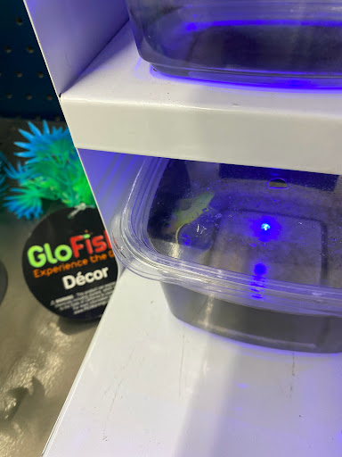 Pet Supply Store «PetSmart», reviews and photos, 88 Shops at 5 Way, Plymouth, MA 02360, USA