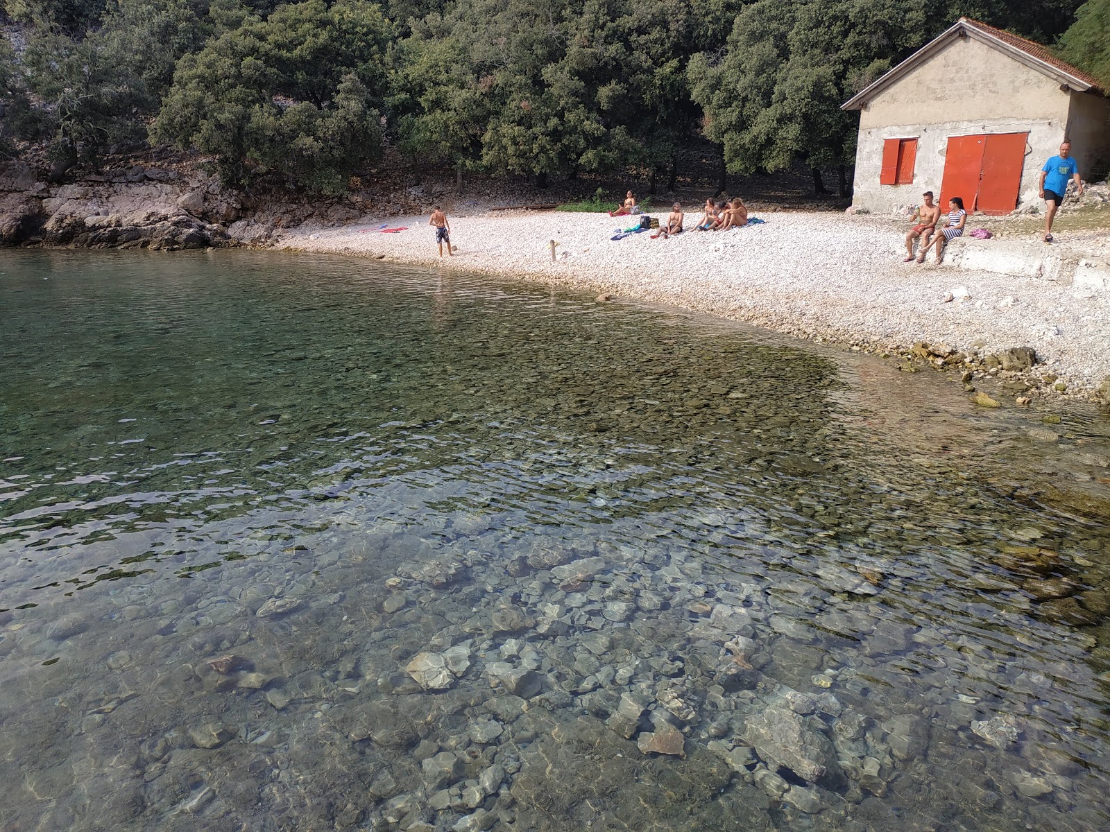 Foto di Uvala Krusija con una superficie del acqua cristallina