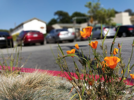 Grocery Store «Safeway», reviews and photos, 1212 Forest Ave, Pacific Grove, CA 93950, USA