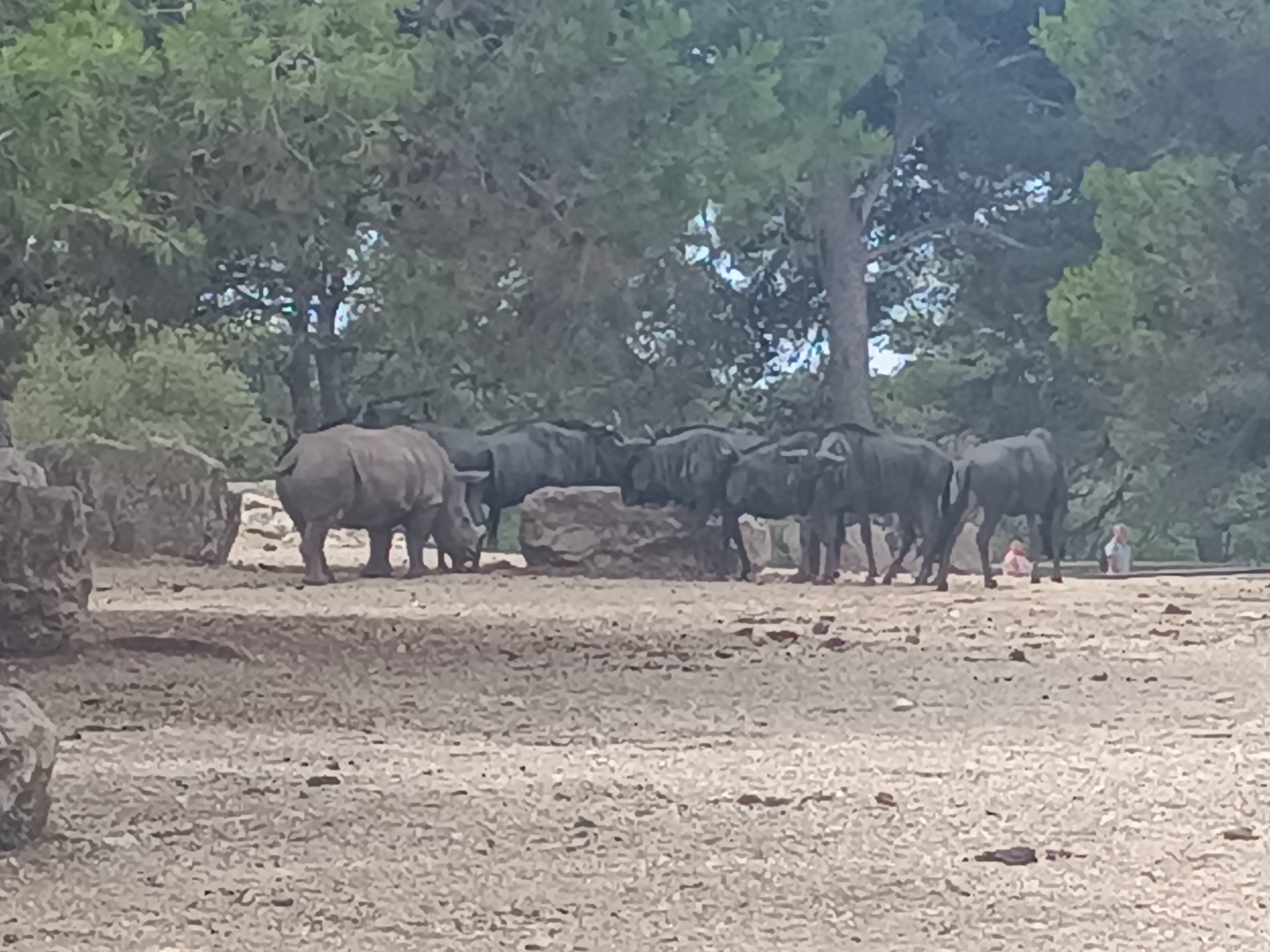 Photo n° 5 de l'avis de Sabi.a fait le 27/07/2023 à 19:17