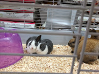 Teske Pet & Garden - Photo 5 - Car repair in Bettendorf, IA, Davenport