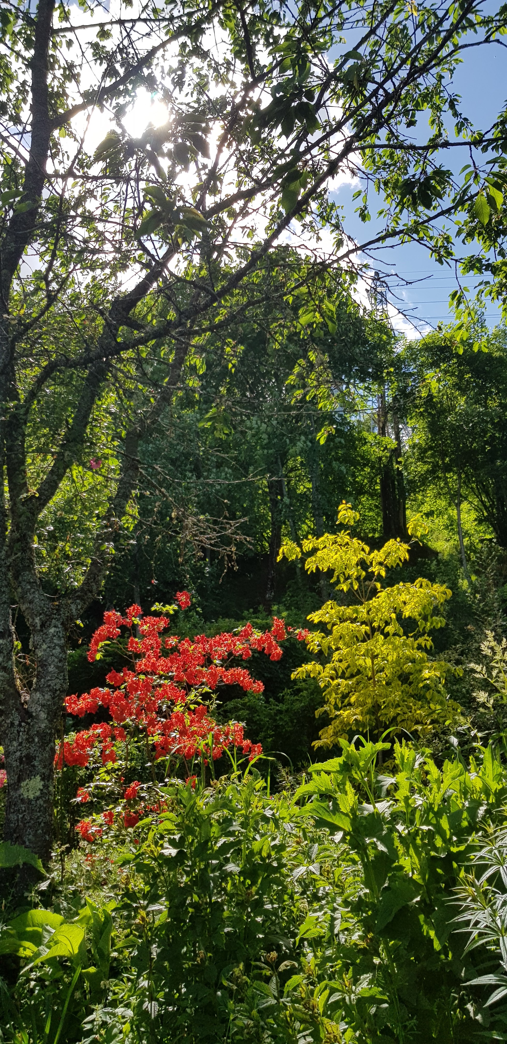Photo n° 1 de l'avis de Rochelle.a fait le 28/05/2022 à 16:51