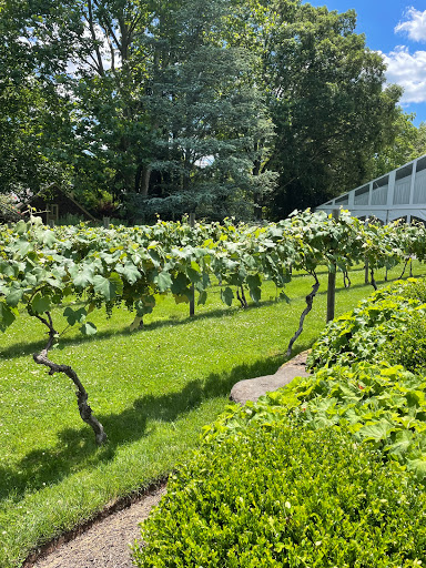 Vineyard «Crossing Vineyards and Winery», reviews and photos, 1853 Wrightstown Rd, Newtown, PA 18940, USA