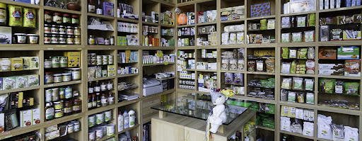 SILAN FISIOTERAPIA ESTELLA en Estella, Pamplona