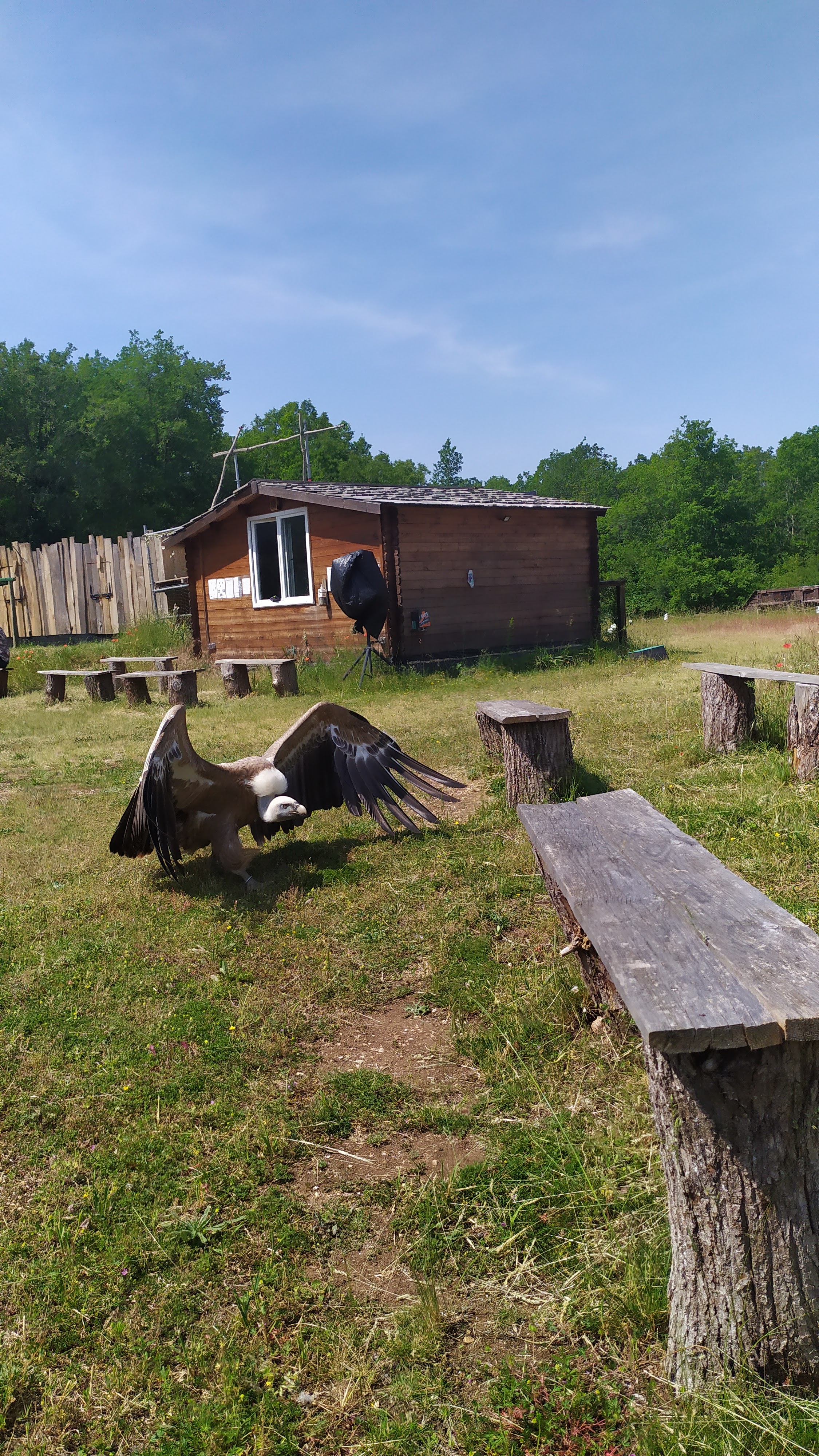 Photo n° 2 de l'avis de Marie-Claude.r fait le 16/06/2023 à 07:20