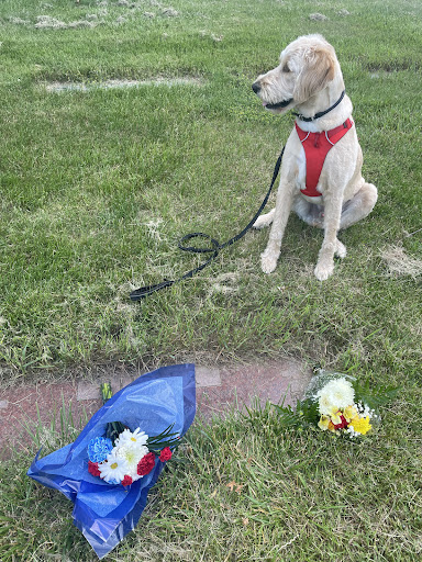 Florist «Off Broadway Floral & Gift», reviews and photos, 420 N Ridge Rd, Lorain, OH 44053, USA