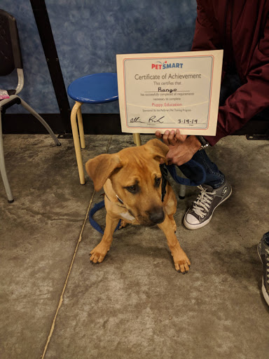 Pet Supply Store «PetSmart», reviews and photos, 8105 Moores Ln Ste 1300, Brentwood, TN 37027, USA