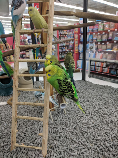 Pet Supply Store «Petco Animal Supplies», reviews and photos, 8700 Preston Rd #105, Plano, TX 75024, USA