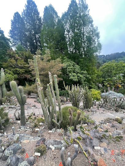 Botanical Garden Lot