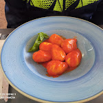 Photo n°10 de l'avis de xxx.x fait le 17/12/2023 à 16:01 sur le  L'Aurora à Cagliari