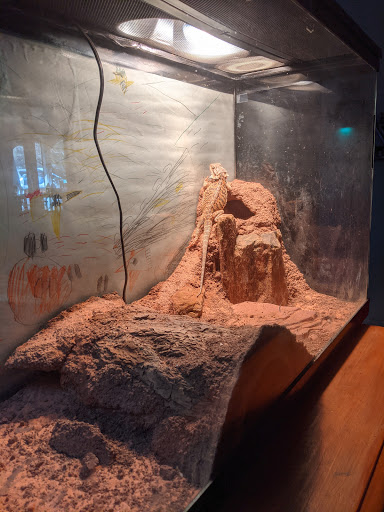 Pet Store «Lake City Pets and Supplies & Grooming», reviews and photos, 1101 US-90, Lake City, FL 32055, USA