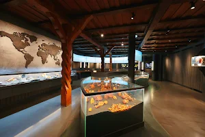 Mizgiris Amber Museum image