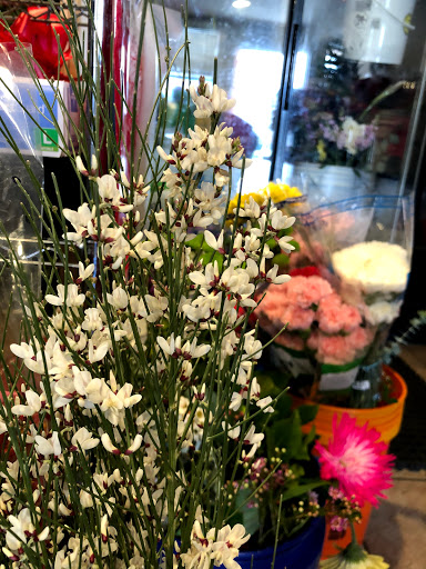 Florist «Guadalajara Flowers», reviews and photos, 32 S White Rd, San Jose, CA 95127, USA