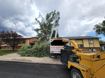 Color Country Tree Service