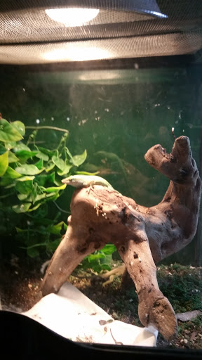 Pet Store «Tanks Pet Supply», reviews and photos, 628 S Main St, Princeton, IL 61356, USA