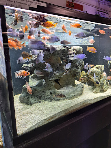 Tropical Fish Store «Salty Fish Aquariums», reviews and photos, 5535 Brewster St, San Antonio, TX 78233, USA