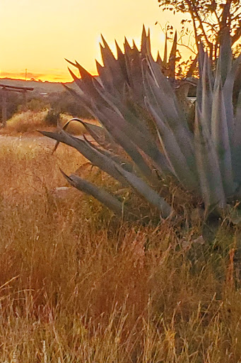 Nature Preserve «Joshua Springs Park and Preserve», reviews and photos, 716 Farm to Market 289, Comfort, TX 78013, USA