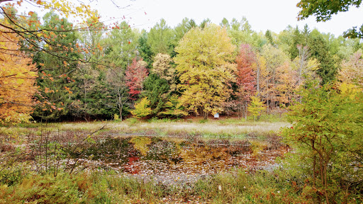 Nature Preserve «Beaver Meadow Audubon Center», reviews and photos, 1610 Welch Rd, Java Center, NY 14082, USA