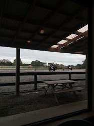 Tielcey Park Equestrian Centre