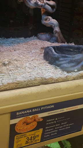 Pet Supply Store «PetSmart», reviews and photos, 2317 W Lincoln St, Harlingen, TX 78552, USA