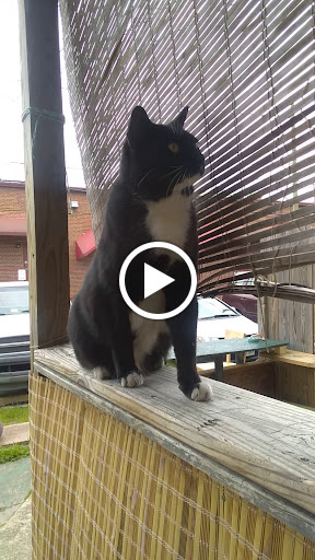 Shopping Mall «Cary Court Park & Shop», reviews and photos, 3144 W Cary St, Richmond, VA 23221, USA