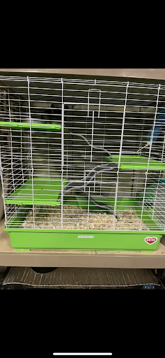 Pet Store «Gills And Thrills Pet Shop», reviews and photos, 204 E 8th St, Lockport, IL 60441, USA