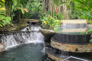Tabacon Hot Springs image