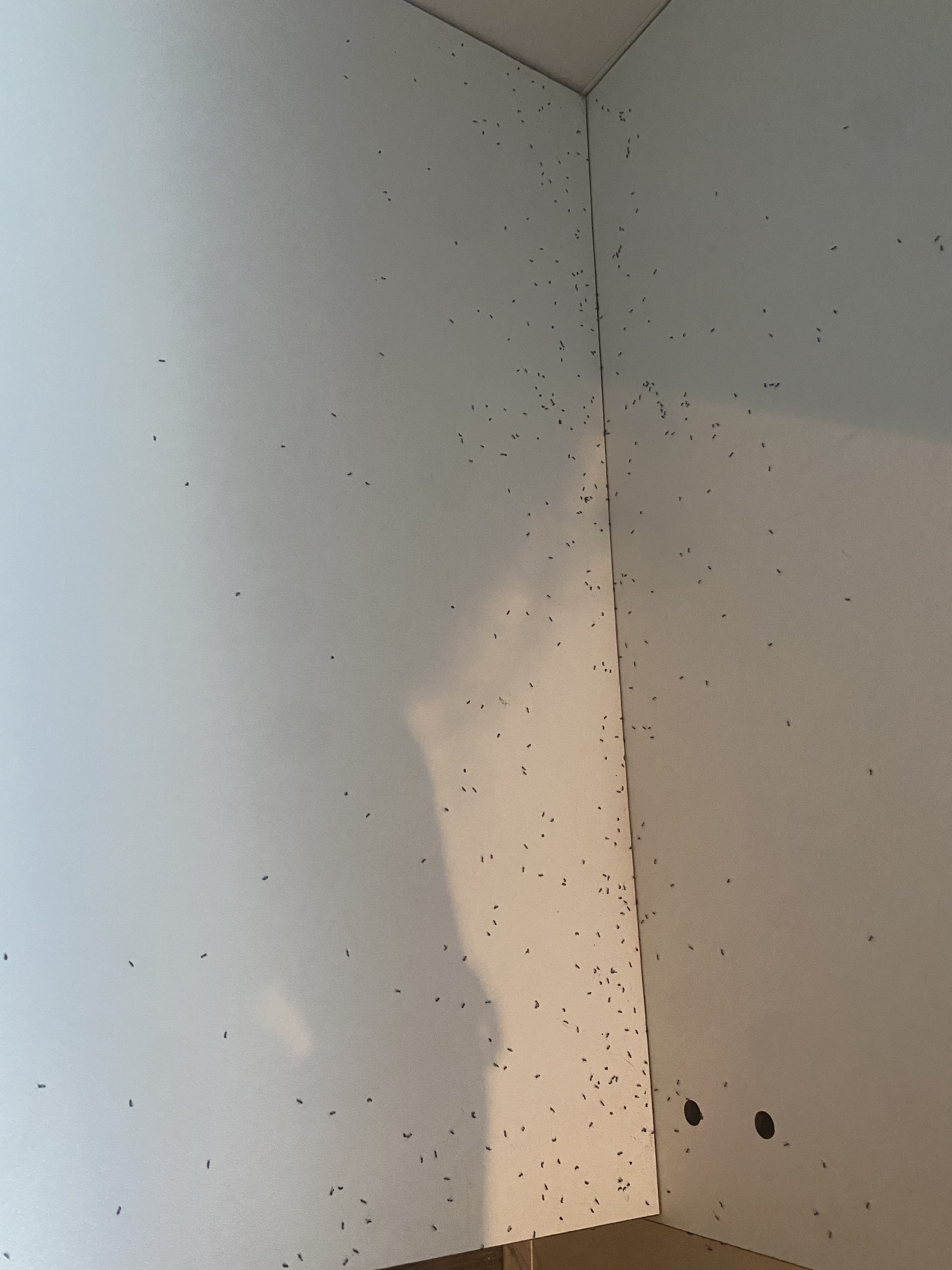 Photo n° 2 de l'avis de Ciissou.i fait le 29/07/2022 à 21:25