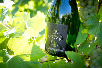 Champagne Brimont et Fils à Ludes