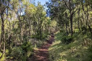 Camino Natural de Anaga - Chasna (GR-131) image