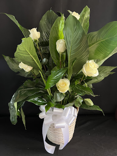 Florist «Rosegreen Florist», reviews and photos, 4201 Irvington Blvd, Houston, TX 77009, USA