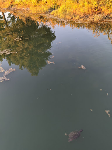 Park «Russell Creek Park», reviews and photos, 3500 McDermott Rd, Plano, TX 75025, USA